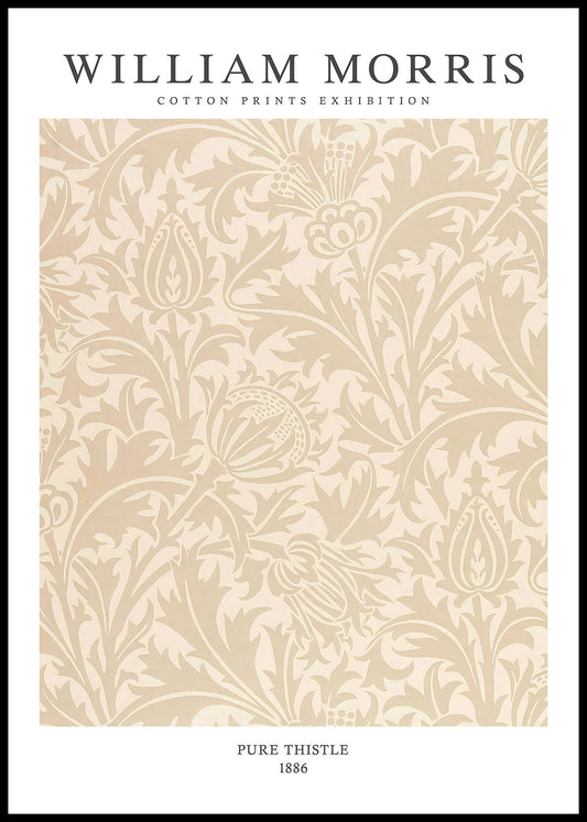 Pure Thistle in Beige